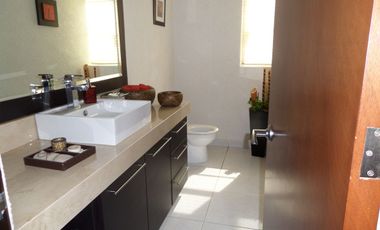 Fraccionamiento Pedregal de San Francisco, Coyoacan.