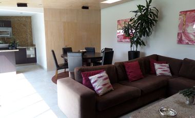 Fraccionamiento Pedregal de San Francisco, Coyoacan.