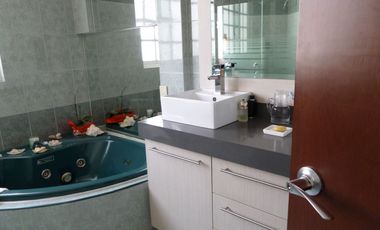 Fraccionamiento Pedregal de San Francisco, Coyoacan.