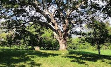 Venta de lote en Sopetran