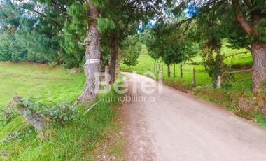 Venta Terreno de Hectáreas en Tutupali Grand