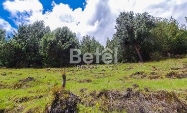 Venta Terreno de Hectáreas en Tutupali Grand