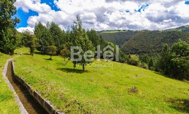 Venta Terreno de Hectáreas en Tutupali Grand