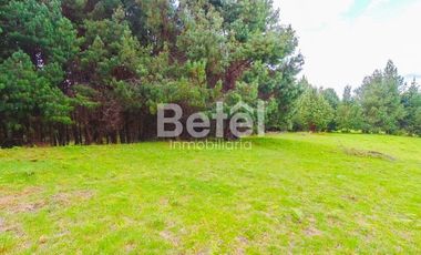 Venta Terreno de Hectáreas en Tutupali Grand