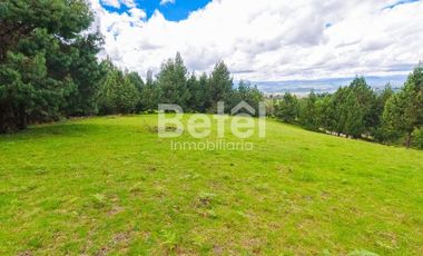 Venta Terreno de Hectáreas en Tutupali Grand