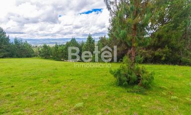 Venta Terreno de Hectáreas en Tutupali Grand