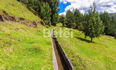 Venta Terreno de Hectáreas en Tutupali Grand