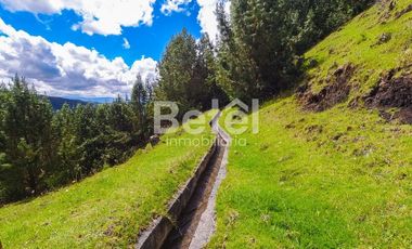 Venta Terreno de Hectáreas en Tutupali Grand