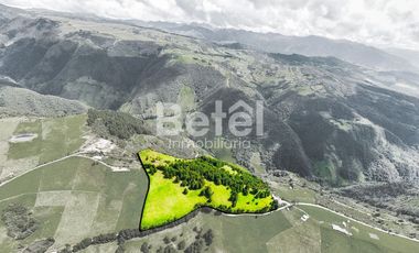 Venta Terreno de Hectáreas en Tutupali Grand