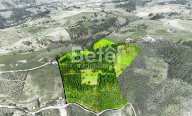 Venta Terreno de Hectáreas en Tutupali Grand