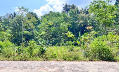 Tanah View Istimewa Hamparan Kebun Teh Kemuning Karanganyar