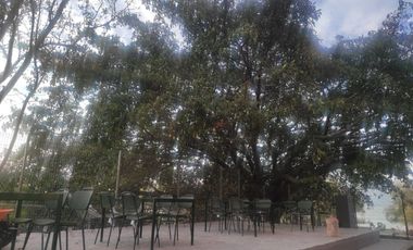 Departamentos en venta Frente al Lago de Chapala San Cristóbal Zapotitán