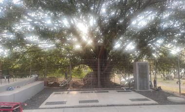 Departamentos en venta Frente al Lago de Chapala San Cristóbal Zapotitán