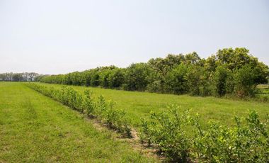 LOTES PARA LA CONSTRUCCIÓN DE SU CASA CAMPESTRE A 15 MIN DE GIRARDOT - PALERMO