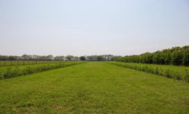GRAN OPORTUNIDAD PARA CONSTRUIR TU CASA CAMPESTRE A 15 MIN GIRARDOT