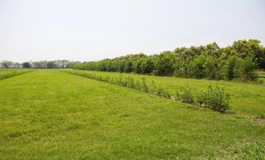 GRAN OPORTUNIDAD PARA CONSTRUIR TU CASA CAMPESTRE A 15 MIN GIRARDOT