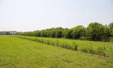 GRAN OPORTUNIDAD PARA CONSTRUIR TU CASA CAMPESTRE A 15 MIN GIRARDOT