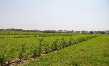 GRAN OPORTUNIDAD PARA CONSTRUIR TU CASA CAMPESTRE A 15 MIN GIRARDOT