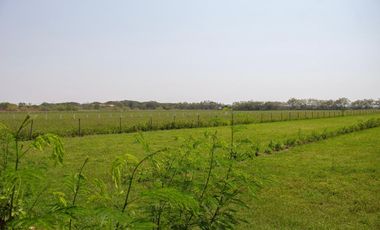 GRAN OPORTUNIDAD PARA CONSTRUIR TU CASA CAMPESTRE A 15 MIN GIRARDOT