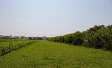 GRAN OPORTUNIDAD PARA CONSTRUIR TU CASA CAMPESTRE A 15 MIN GIRARDOT
