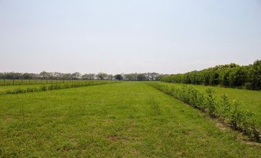 GRAN OPORTUNIDAD PARA CONSTRUIR TU CASA CAMPESTRE A 15 MIN GIRARDOT