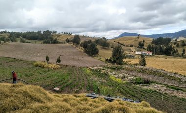 Gran opotunidad de inversión Finca Agro Industrial.