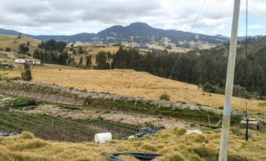 Gran opotunidad de inversión Finca Agro Industrial.