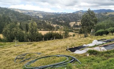 Gran opotunidad de inversión Finca Agro Industrial.
