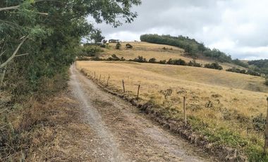 Gran opotunidad de inversión Finca Agro Industrial.