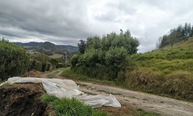 Gran opotunidad de inversión Finca Agro Industrial.