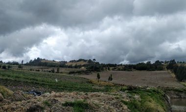 Gran opotunidad de inversión Finca Agro Industrial.