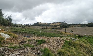 Gran opotunidad de inversión Finca Agro Industrial.