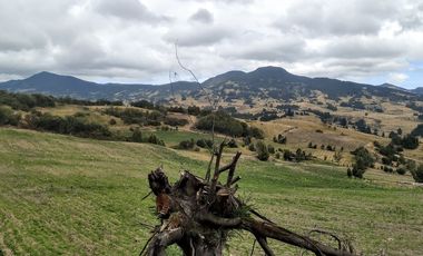 Gran opotunidad de inversión Finca Agro Industrial.