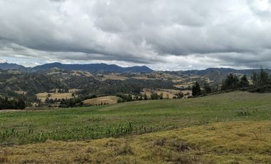 Gran opotunidad de inversión Finca Agro Industrial.