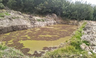 Gran opotunidad de inversión Finca Agro Industrial.
