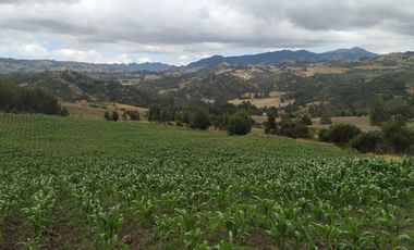 Gran opotunidad de inversión Finca Agro Industrial.