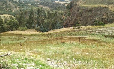 Gran opotunidad de inversión Finca Agro Industrial.