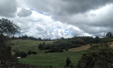 Gran opotunidad de inversión Finca Agro Industrial.