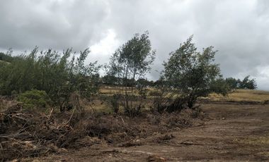 Gran opotunidad de inversión Finca Agro Industrial.