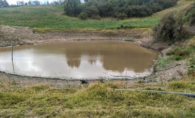 Gran opotunidad de inversión Finca Agro Industrial.