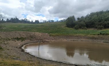 Gran opotunidad de inversión Finca Agro Industrial.