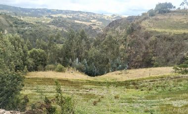 Gran opotunidad de inversión Finca Agro Industrial.