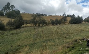 Gran opotunidad de inversión Finca Agro Industrial.
