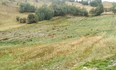 Gran opotunidad de inversión Finca Agro Industrial.