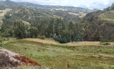 Gran opotunidad de inversión Finca Agro Industrial.