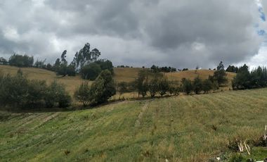 Gran opotunidad de inversión Finca Agro Industrial.