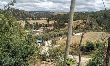Gran opotunidad de inversión Finca Agro Industrial.