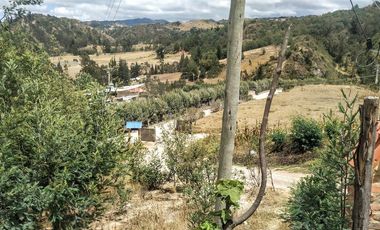 Gran opotunidad de inversión Finca Agro Industrial.