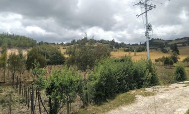 Gran opotunidad de inversión Finca Agro Industrial.