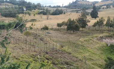 Gran opotunidad de inversión Finca Agro Industrial.